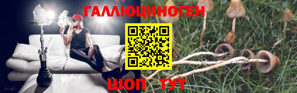 Галлюциногенные грибы мицелий  купить наркотик  Кольчугино  Вход с VPN 